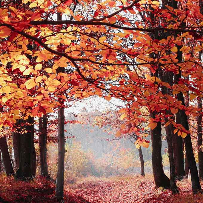 1600237017975b979695ed564fcc6